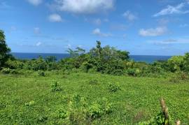 Development Land (Residential) for Rent in Long Bay