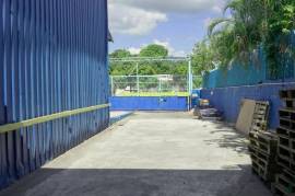 Warehouse for Sale in Kingston 10