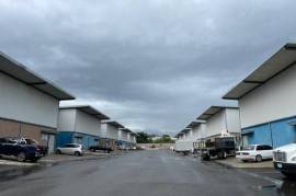 Warehouse for Sale in Kingston 10