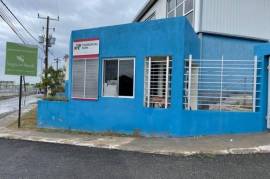 Warehouse for Sale in Kingston 10
