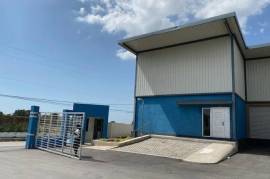 Warehouse for Rent in Kingston 10