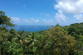 Farm/Agriculture for Sale in Long Bay