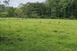 Farm/Agriculture for Sale in Cambridge