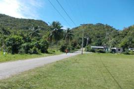 Farm/Agriculture for Sale in Port Morant