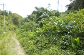 Farm/Agriculture for Sale in Port Morant