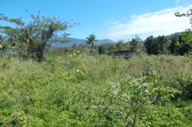 Farm/Agriculture for Sale in Port Morant