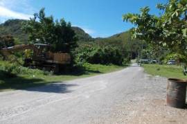 Farm/Agriculture for Sale in Port Morant