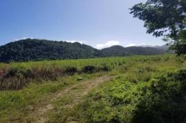 Farm/Agriculture for Sale in Savanna-La-Mar