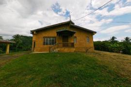 Farm/Agriculture for Sale in Linstead
