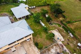 Farm/Agriculture for Sale in Linstead