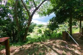 Farm/Agriculture for Sale in Linstead