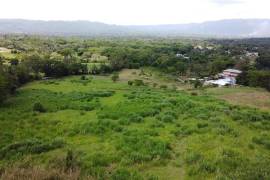 Farm/Agriculture for Sale in Linstead