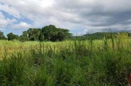 Farm/Agriculture for Sale in Savanna-La-Mar