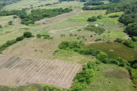 Farm/Agriculture for Sale in Pepper