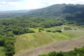 Farm/Agriculture for Sale in Pepper