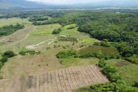 Farm/Agriculture for Sale in Pepper