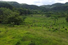 Farm/Agriculture for Sale in Pepper