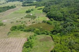 Farm/Agriculture for Sale in Pepper