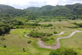 Farm/Agriculture for Sale in Pepper