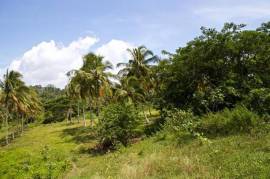 Farm/Agriculture for Sale in Highgate