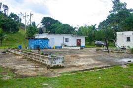 Farm/Agriculture for Sale in St. Ann's Bay