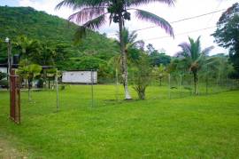 Farm/Agriculture for Sale in St. Ann's Bay