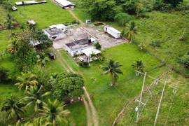 Farm/Agriculture for Sale in St. Ann's Bay