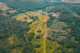 Farm/Agriculture for Sale in St. Ann's Bay
