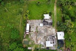 Farm/Agriculture for Sale in St. Ann's Bay