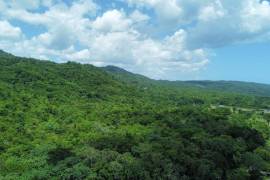 Farm/Agriculture for Sale in Bluefields