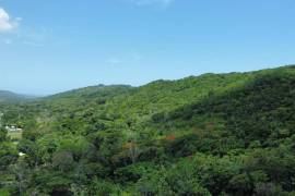 Farm/Agriculture for Sale in Bluefields