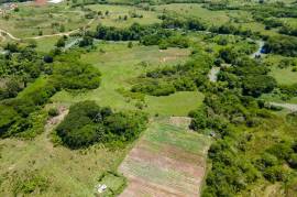 Farm/Agriculture for Sale in Lacovia