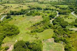 Farm/Agriculture for Sale in Lacovia