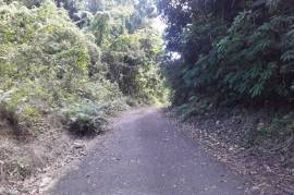 Farm/Agriculture for Sale in Ocho Rios