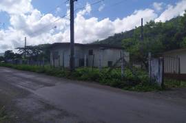 Farm/Agriculture for Sale in Bog Walk