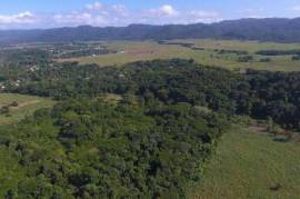 Farm/Agriculture for Sale in Savanna-La-Mar