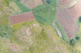 Farm/Agriculture for Sale in Thompson Town