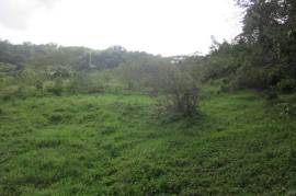 Farm/Agriculture for Sale in Port Maria