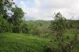 Farm/Agriculture for Sale in Port Maria