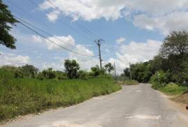 Farm/Agriculture for Sale in Bog Walk