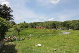 Farm/Agriculture for Sale in Bog Walk