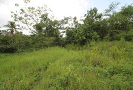 Farm/Agriculture for Sale in Bog Walk
