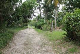 Farm/Agriculture for Sale in Bog Walk