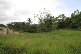 Farm/Agriculture for Sale in Bog Walk