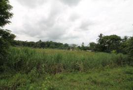 Farm/Agriculture for Sale in Bog Walk