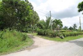 Farm/Agriculture for Sale in Bog Walk