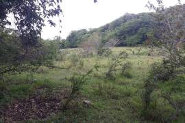 Farm/Agriculture for Sale in Adelphi