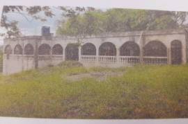 Farm/Agriculture for Sale in Spanish Town