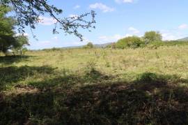 Farm/Agriculture for Sale in Braes River