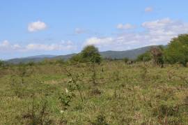 Farm/Agriculture for Sale in Braes River